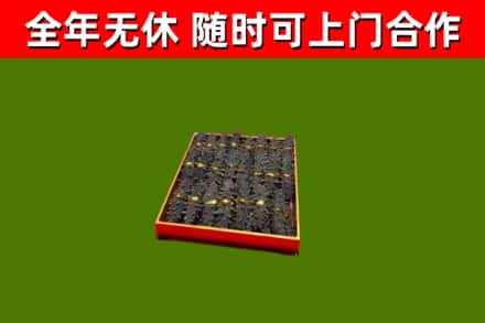 坡头回收海参